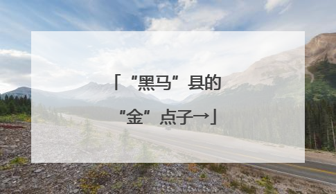 “黑马”县的“金”点子→