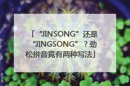 “JINSONG”还是“JINGSONG”？劲松拼音竟有两种写法