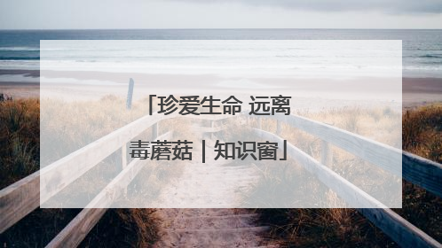 珍爱生命 远离毒蘑菇｜知识窗