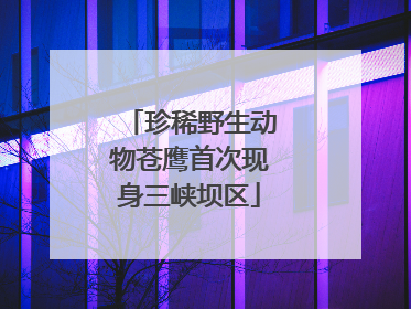 珍稀野生动物苍鹰首次现身三峡坝区