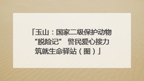 玉山：国家二级保护动物“脱险记” 警民爱心接力筑就生命驿站（图）