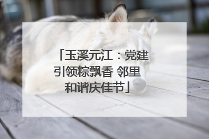 玉溪元江：党建引领粽飘香 邻里和谐庆佳节