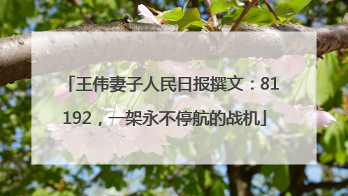 王伟妻子人民日报撰文：81192，一架永不停航的战机