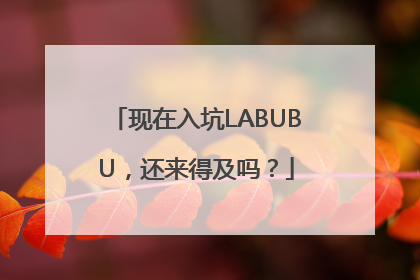 现在入坑LABUBU，还来得及吗？