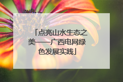 点亮山水生态之美——广西电网绿色发展实践