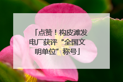 点赞！构皮滩发电厂获评“全国文明单位”称号