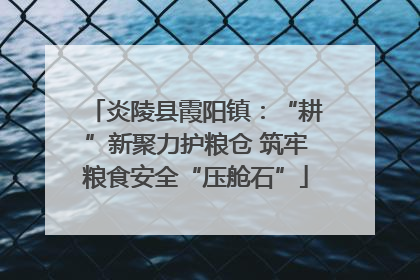 炎陵县霞阳镇：“耕”新聚力护粮仓 筑牢粮食安全“压舱石”