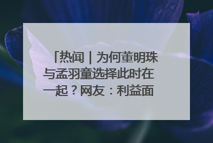 热闻｜为何董明珠与孟羽童选择此时在一起？网友：利益面前啥都能和解