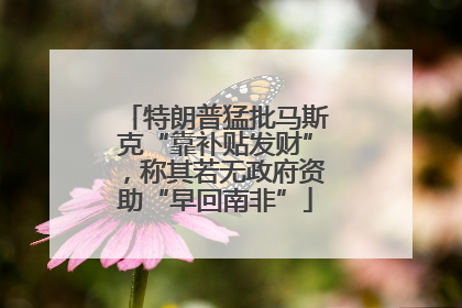 特朗普猛批马斯克“靠补贴发财”，称其若无政府资助“早回南非”
