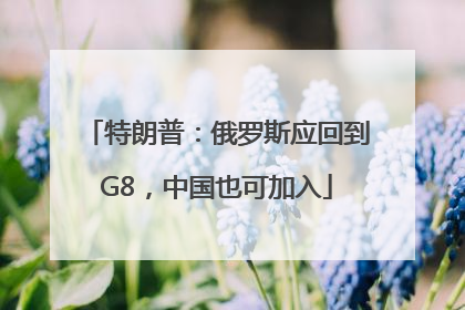 特朗普：俄罗斯应回到G8，中国也可加入