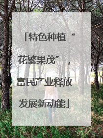 特色种植“花繁果茂”，富民产业释放发展新动能