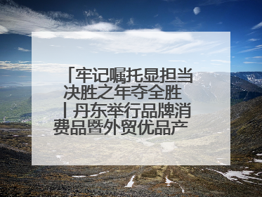 牢记嘱托显担当 决胜之年夺全胜丨丹东举行品牌消费品暨外贸优品产销对接大会