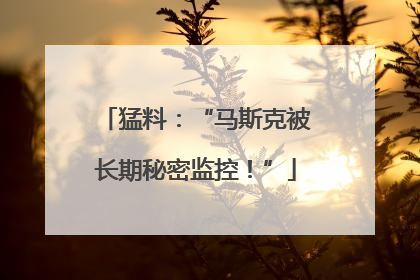 猛料：“马斯克被长期秘密监控！”