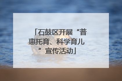 石鼓区开展“普惠托育、科学育儿”宣传活动