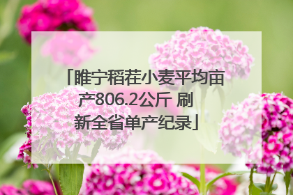 睢宁稻茬小麦平均亩产806.2公斤 刷新全省单产纪录