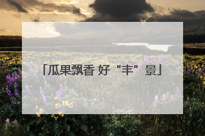 瓜果飘香 好“丰”景