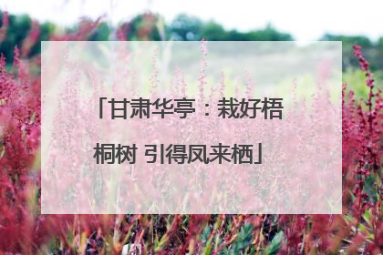 甘肃华亭：栽好梧桐树 引得凤来栖