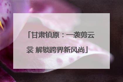 甘肃镇原：一袭剪云裳 解锁跨界新风尚