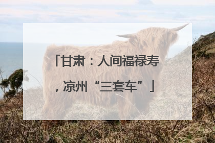 甘肃：人间福禄寿，凉州“三套车”