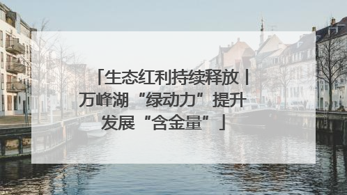 生态红利持续释放丨万峰湖“绿动力”提升发展“含金量”
