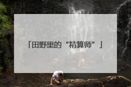 田野里的“精算师”