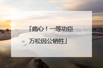 痛心！一等功臣万松因公牺牲
