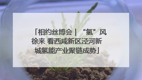 相约丝博会｜“氢”风徐来 看西咸新区泾河新城氢能产业聚链成势