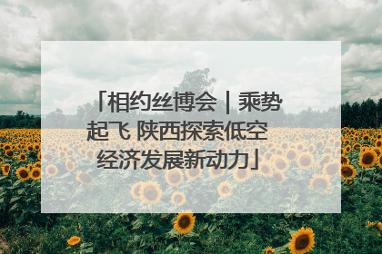 相约丝博会｜乘势起飞 陕西探索低空经济发展新动力