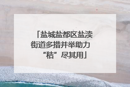 盐城盐都区盐渎街道多措并举助力“秸”尽其用