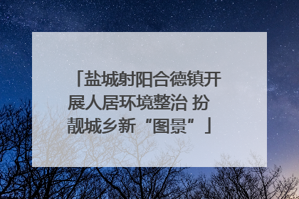 盐城射阳合德镇开展人居环境整治 扮靓城乡新“图景”