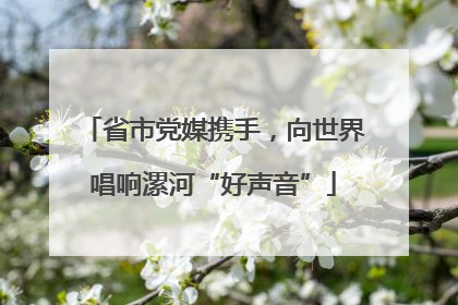 省市党媒携手，向世界唱响漯河“好声音”