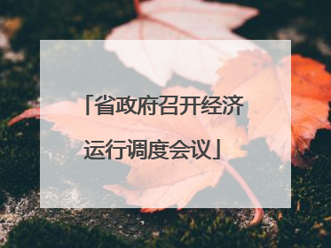 省政府召开经济运行调度会议