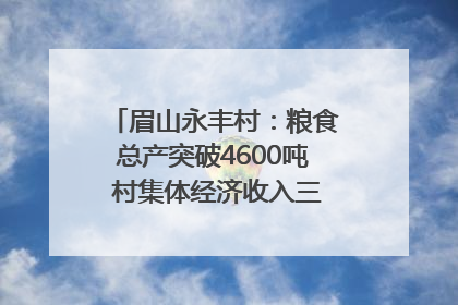 眉山永丰村：粮食总产突破4600吨 村集体经济收入三年倍增｜牵挂的村