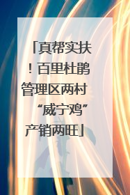 真帮实扶！百里杜鹃管理区两村“威宁鸡”产销两旺