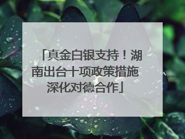 真金白银支持！湖南出台十项政策措施深化对德合作