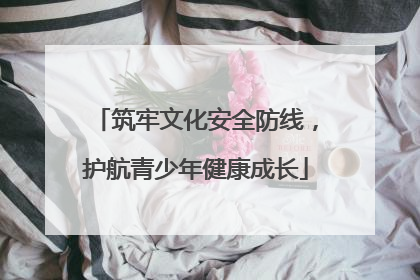 筑牢文化安全防线，护航青少年健康成长