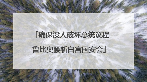 确保没人破坏总统议程 鲁比奥腰斩白宫国安会