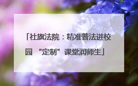 社旗法院：精准普法进校园 “定制”课堂润师生