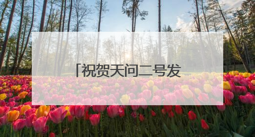 祝贺天问二号发射成功，宜品乳业纯羊奶粉给宝宝航天级关怀