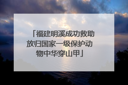 福建明溪成功救助放归国家一级保护动物中华穿山甲
