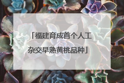 福建育成首个人工杂交早熟黄桃品种