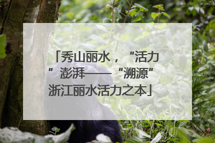 秀山丽水，“活力”澎湃——“溯源”浙江丽水活力之本