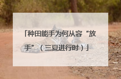 种田能手为何从容“放手”（三夏进行时）