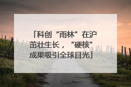 科创“雨林”在沪茁壮生长，“硬核”成果吸引全球目光