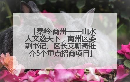 秦岭·商州——山水人文邀天下，商州区委副书记、区长支朝奇推介5个重点招商项目