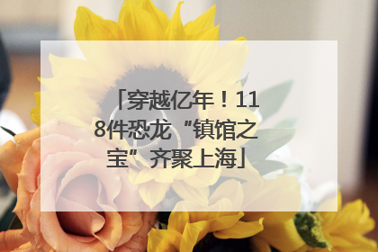穿越亿年！118件恐龙“镇馆之宝”齐聚上海