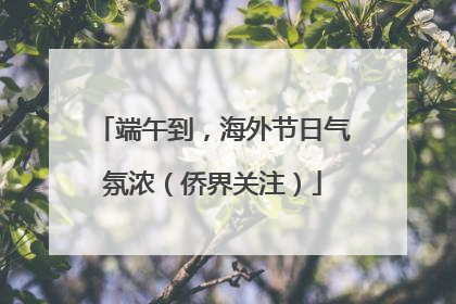 端午到，海外节日气氛浓（侨界关注）