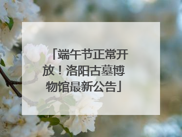 端午节正常开放！洛阳古墓博物馆最新公告