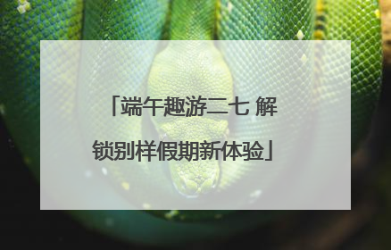 端午趣游二七 解锁别样假期新体验