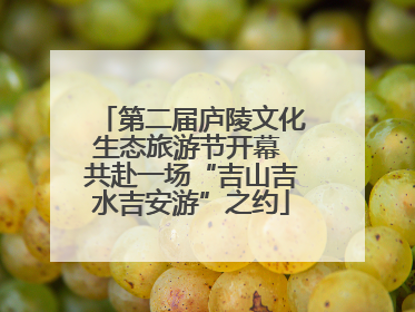 第二届庐陵文化生态旅游节开幕 共赴一场“吉山吉水吉安游”之约